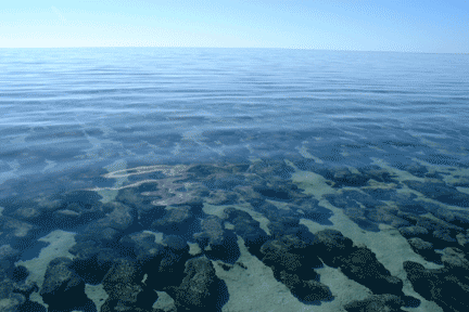 stromatolites-and-ripples.gif